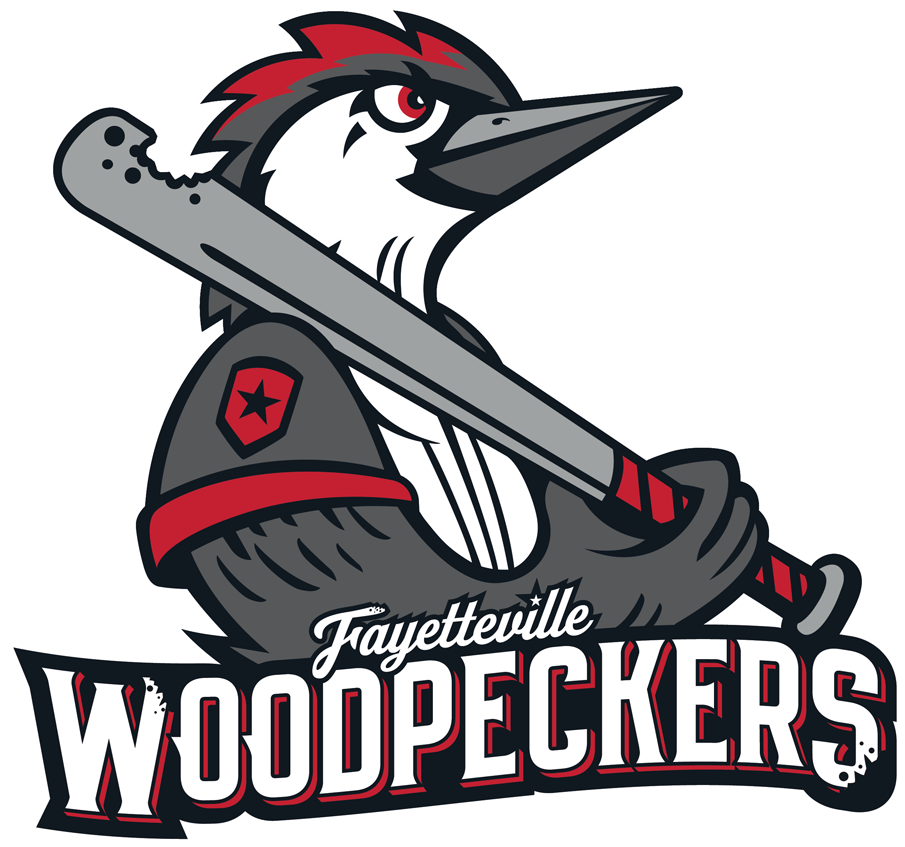Fayetteville Woodpeckers 2019-Pres Primary Logo iron on transfers for clothing